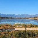 영랑부동산공인중개사사무소 이미지