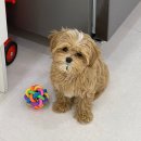 봄이까까 이미지