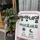 앙앙네일 이미지