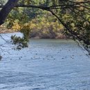 옥성경로당 이미지