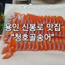 청호골송어 네이버블로그