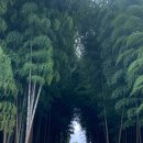 송강목장 | 제주도 사진스팟 목장 카페 추천 서귀포 대한목장(+애견동반, 주차 정보)