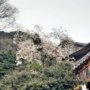 지리산호수공원 이미지