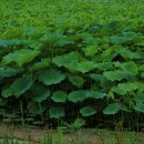 의왕초등학교 이미지