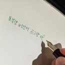 146 | [몽블랑] 마이스터스튁 버건디 르그랑(146) 닙교체 수령 후기