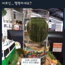 명제로-1 이미지