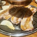 고기싸롱 이미지