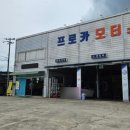 프로카모터스 이미지