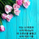 구름 저편에 계신 주님, 예수님의 사랑 그 놀라운 사랑, 주님이 흘리신 사랑 [책소개 : 지귀복전도사] 이미지