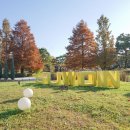 손바닥공원 농구장 | 수원 여행 코스 효원공원 주차 월화원 가족과 주말 가볼곳