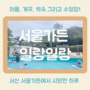 해미민박 | [서산계곡맛집] 수영장까지 있는 백숙집 ‘서울가든’ 일랑일랑 — 아이들과 함께 즐기는 여름 물놀이...