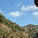 세이지우드홍천호텔 | [강원도 호텔]고급스럽고 여유롭게 힐링가능한 홍천 5성급호텔 주니어스위트 룸 후기, 세이지우드 홍천