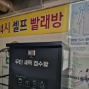 크린토피아숲속 이미지