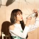비올레타