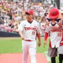 레드카펫 이미지