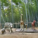 맹종죽테마공원 | 거제 여행지 가볼만한곳 추천 맹종죽테마파크 거제도 조용한 산책로