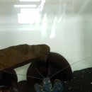 오토오아시스 파주월롱점 이미지