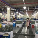 바다를 품은 보성회센타 이미지