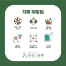 안심요양병원 - 동구 | 안심요양병원