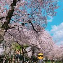 성당네거리 이미지