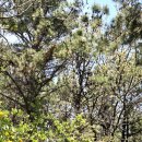 굿거리공원 이미지