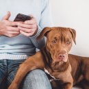 D&C동물병원 이미지