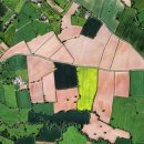 토지보상행정사 이미지