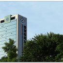 영남대학교 정문 이미지