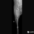 신세계동물의료센터 이미지