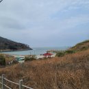 정치망민박 이미지