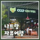 한국지엠 동김해 지정서비스 | 베트남 나트랑 자유여행 1일차｜도착·시내·첫날 일정 총정리🇻🇳