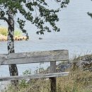 나눔리사이클 | 8월 <스웨덴 컵나눔 리사이클 이벤트>&amp;최재천 교수님 강연