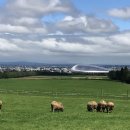 종우목장 이미지