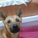 옥이누나 이미지