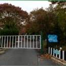 초원오토캠핑장 이미지