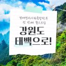 경제정치사회융합학부의 첫 번째 필드트립, 강원도 태백으로!