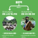 오목골 캠핑장 이미지