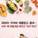 전통과일