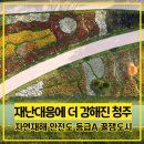 하천 수위감시 | 청주장마 폭염 물놀이 안전 민선 8기 자연재난 대책 마련 정보