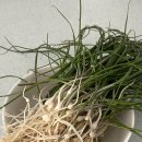 대영할인마트 이미지