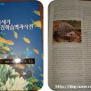 21세기문구점