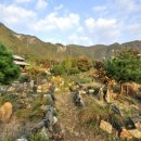 생태체험학습장 야영장 이미지