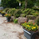 외서면 주민자치위원회 이미지