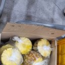 성운농장 이미지