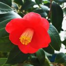 더노벰버스테이 이미지