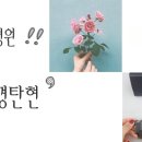 아이미안경탄현 이미지