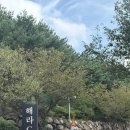 해라컨트리클럽 | 부산 강서구 2인 플레이 가능, 해라CC 그늘집 후기