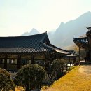 신흥사