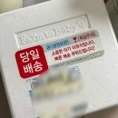 해뜨는어린이집 | 시판초기이유식 4종 비교 후기 | 베이비본죽, 짱죽, 배냇밀, 팜투베이비 솔직 리뷰