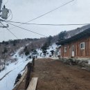 대초커피